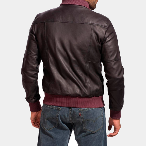 Brown Celebrity Leather Jacket Celebrities Leather Jackets Free Shipping